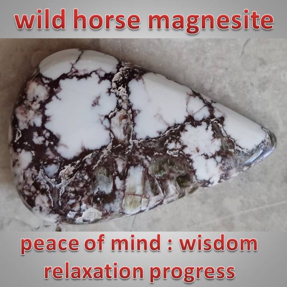 #5 WILD HORSE Magnesite cabochon cab crystal rock